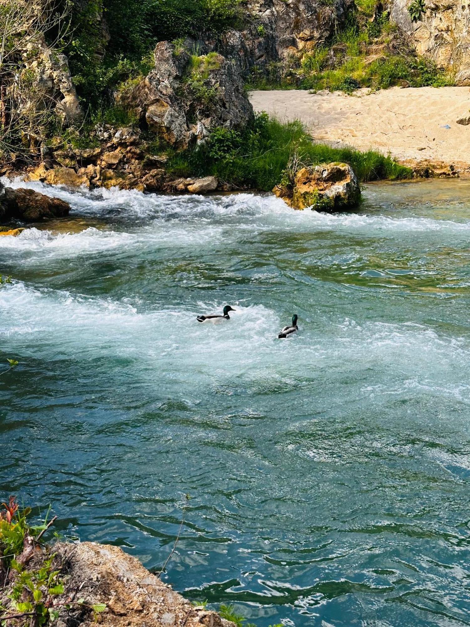 Apart Cobras Jajce Exterior foto